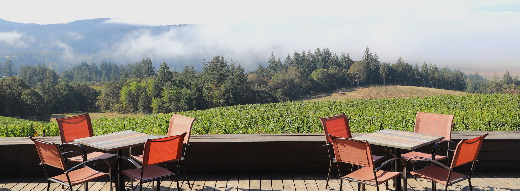 Tasting Room