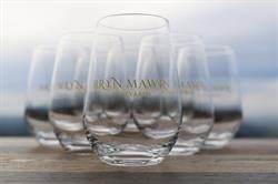 BMV Logo Tumbler