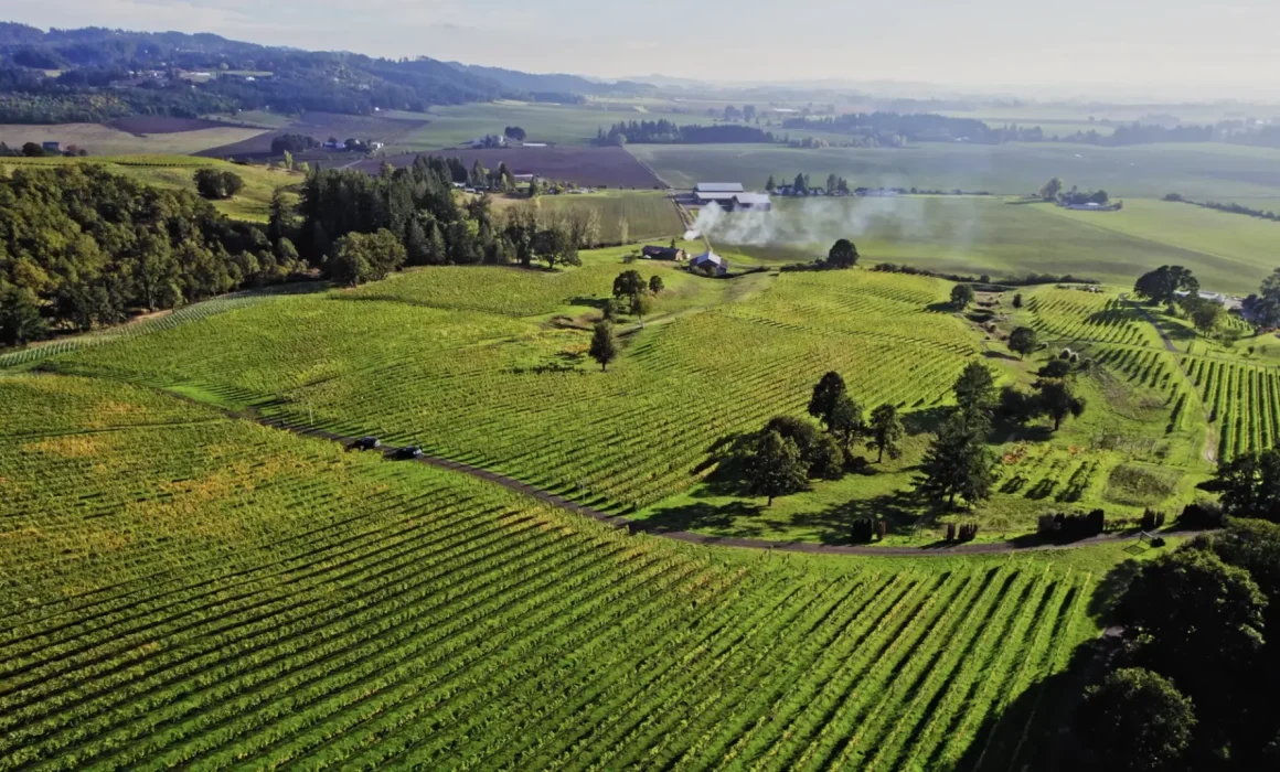 Oregon Wine in 2026